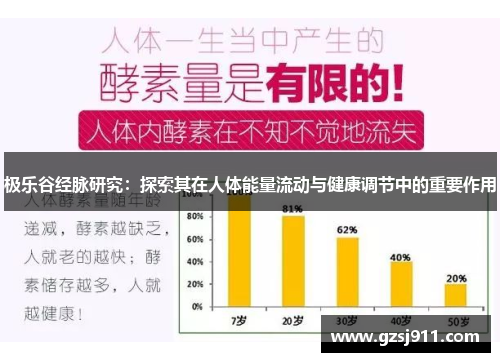 极乐谷经脉研究：探索其在人体能量流动与健康调节中的重要作用