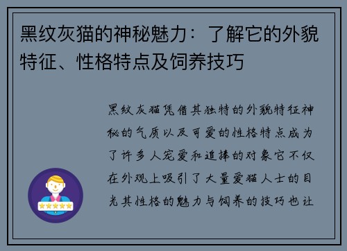 黑纹灰猫的神秘魅力：了解它的外貌特征、性格特点及饲养技巧