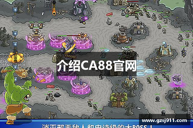 介绍CA88官网